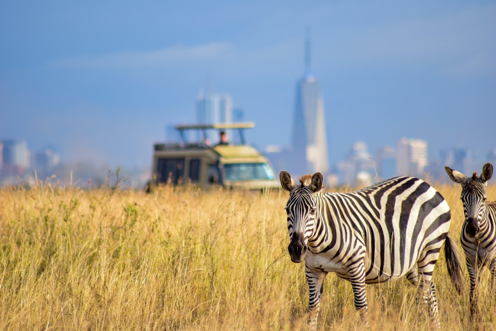 Half day Morning/afternoon tour to Nairobi National park