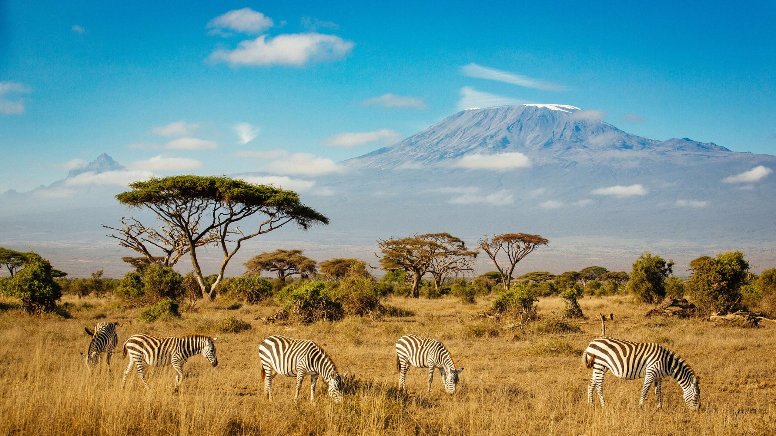 13 DAYS KENYA AND TANZANIA BUDGET SAFARI
