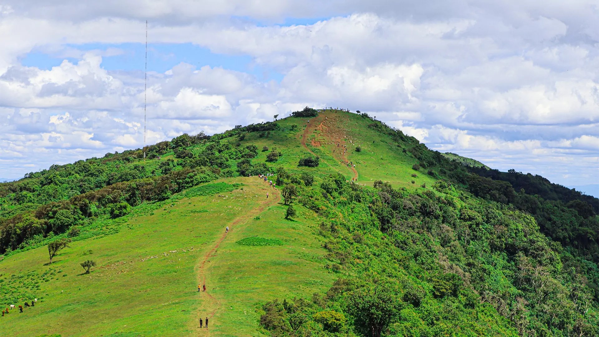 Ngong Hills: Private Hiking Tour