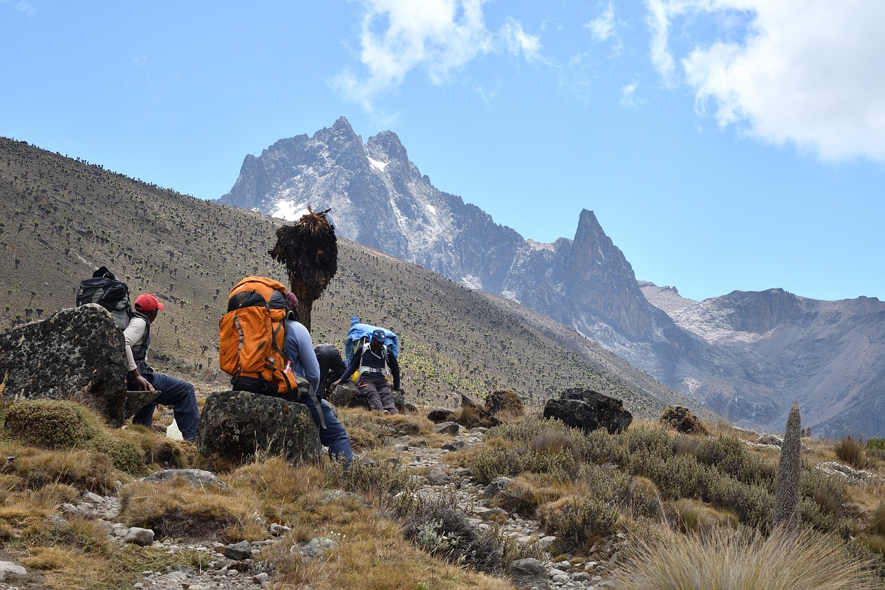 Mt Kenya: Full-day hiking tour from Nairobi
