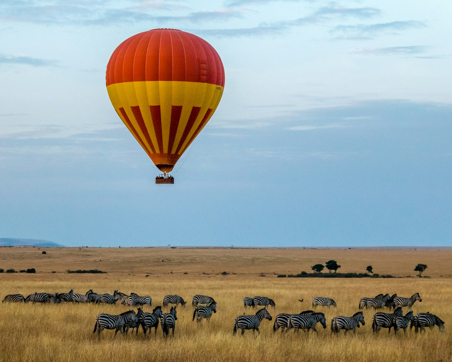 2 DAYS MAASAI MARA BUDGET SAFARI